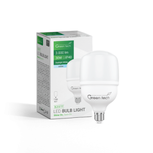 LED ŽARULJA E27,30W,6500K GT